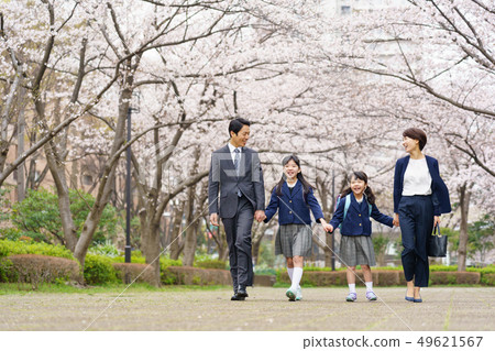 Cherry blossoms 49621567