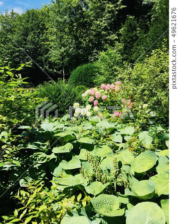 Secret Garden Secret Garden Unmanageable Land 3 Secret Garden Secret Garden Unmanageable Land 3 49621676