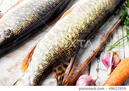 Fish pike on the kitchen board Fish pike on the kitchen board 49622939
