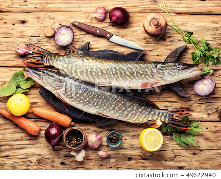 Fish pike on the kitchen board Fish pike on the kitchen board 49622940