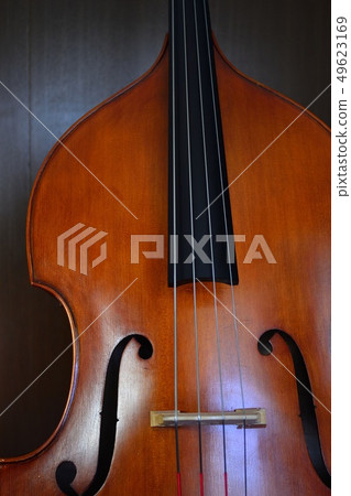 Contrabass 1 49623169