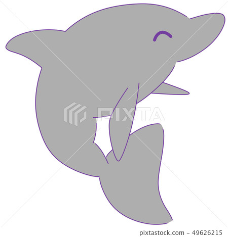 Dolphin smile Dolphin smile 49626215
