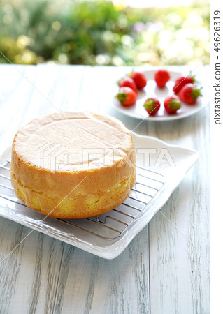 sponge cake 49626319