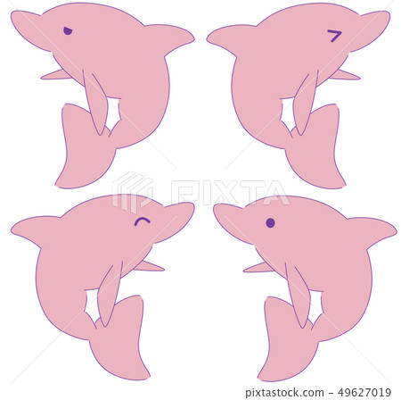 Dolphin summary (pink) Dolphin summary (pink) 49627019
