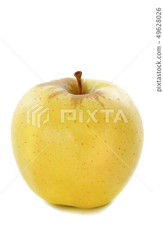 golden apple 49628026