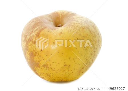 Golden russet apple 49628027