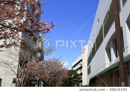 Around Fureainooka Station scenery Around Fureainooka Station scenery 49628390