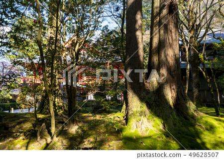 Nayera寺的Kadoo國王（石川縣小松市） 49628507