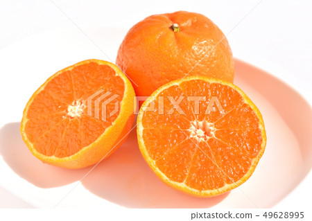 Tsunoki（柑橘） 49628995