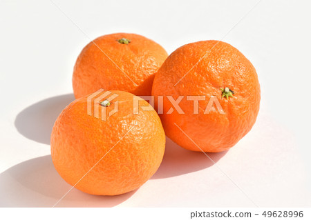 Tsunoki（柑橘） 49628996