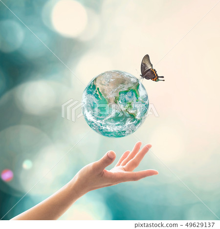 World environment day, ecology ozone layer protect World environment day, ecology ozone layer protect 49629137