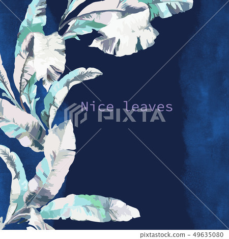 Abstract leaves Abstract leaves 49635080