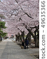 Sakura Sakura青森縣十和田市政府街 49635366