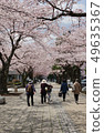 Sakura Sakura青森縣十和田市政府街 49635367