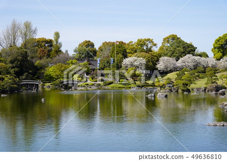 Suizenji Jojuen 49636810