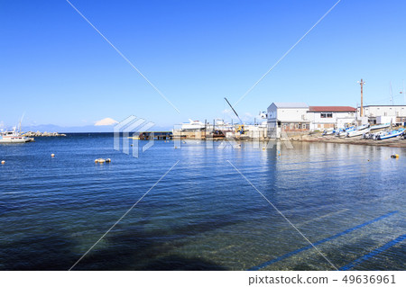 Arasaki Park (spring) 49636961