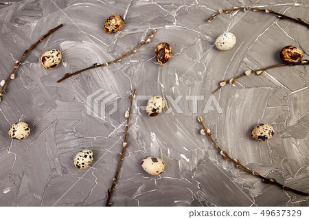 Quail  Easter eggs on grey background with willow 49637329