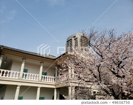 Senpukan Sakura Haru [大阪府] 49638750