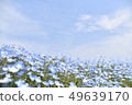Blue Sky and Blue Flower 49639170