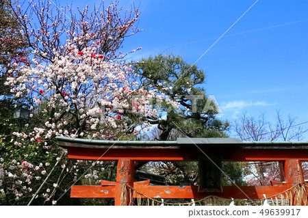 Primord Hachimangu Shrine Primord Hachimangu Shrine 49639917