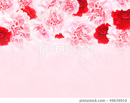 Background-Rose-Carnation-Pink-Mother's Day Background-Rose-Carnation-Pink-Mother's Day 49639919