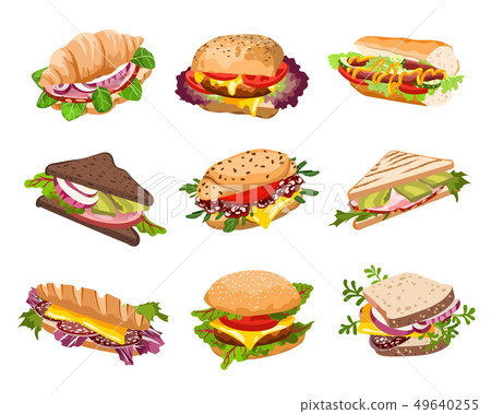 vector sandwiches illustration 49640255