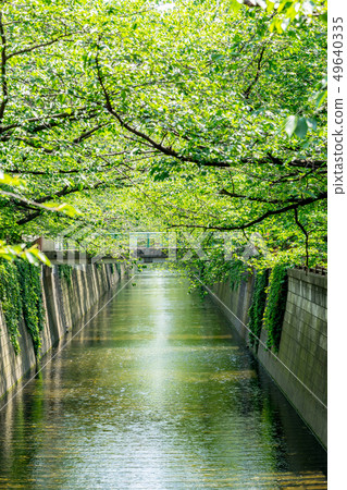 [東京]目黑河 49640335