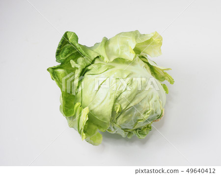 Spring cabbage Spring cabbage 49640412