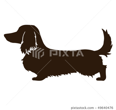 Dachshund Long Hair Silhouette Stock Illustration 49640476 Pixta