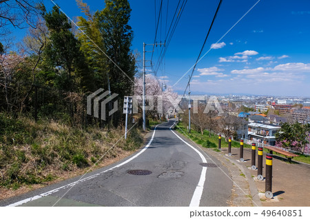 Spring Tama City Tokyo Metropolitan Sakuragaoka Park Yuhinooka 49640851