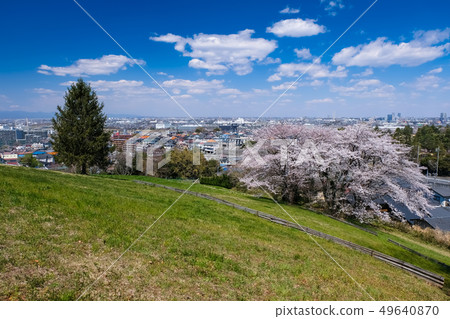 Spring Tama City Tokyo Metropolitan Sakuragaoka Park Yuhinooka 49640870