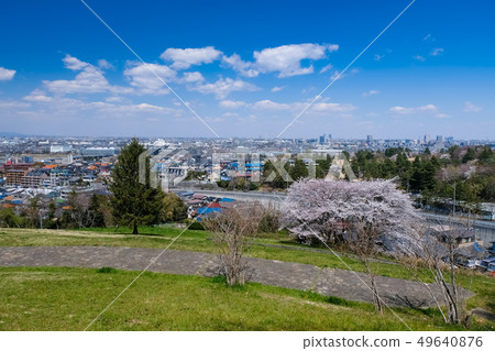 春天多摩市東京都櫻木公園Yuhinooka 49640876