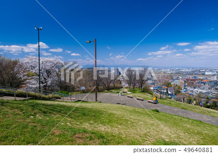 春天多摩市東京都櫻木公園Yuhinooka 49640881