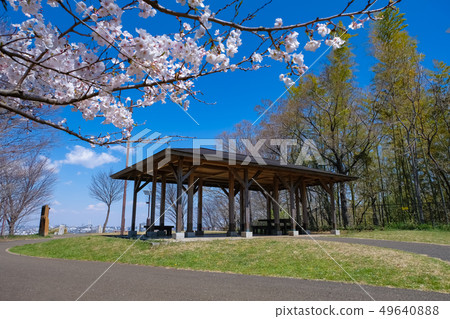 Spring Tama City Tokyo Metropolitan Sakuragaoka Park Yuhinooka 49640888