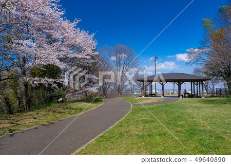 Spring Tama City Tokyo Metropolitan Sakuragaoka Park Yuhinooka 49640890
