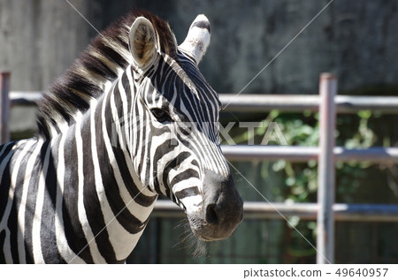 Side view of the end Side view of the end 49640957