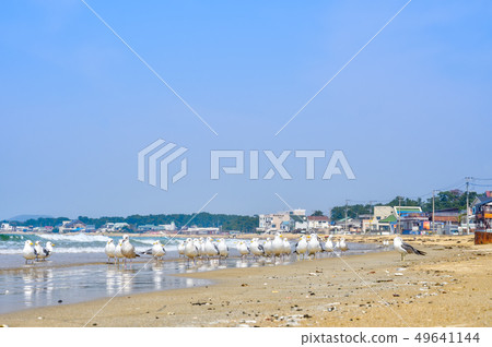 夏天天空的福熊海岸[福岡縣] 49641144