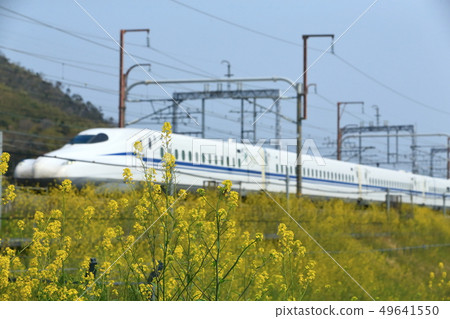 Next generation Shinkansen test drive for commercial operation next to rape blossoms Next generation Shinkansen test drive for commercial operation next to rape blossoms 49641550