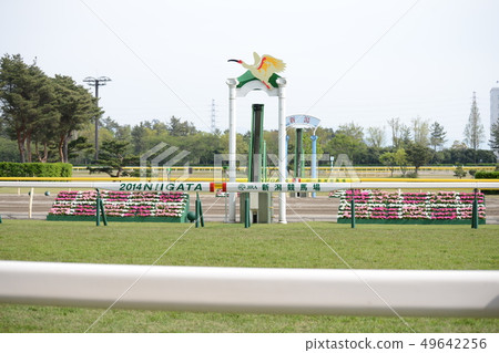 新潟賽馬場目標 新潟賽馬場目標 49642256