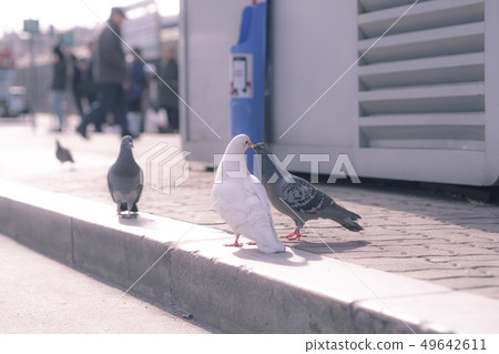 You are also dating 49642611