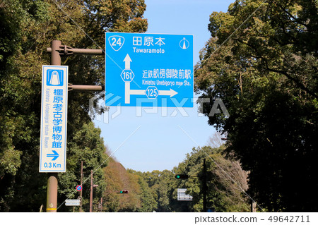 Road sign (green light) in front of Jimpu Emperor's Tomb 49642711