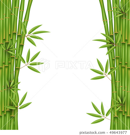 Creative illustration of chinese bamboo grass 49643977
