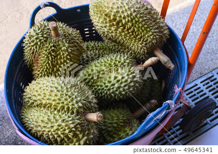 Durian in the basket for sale 49645341
