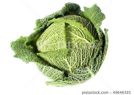 fresh cabbage 49646385