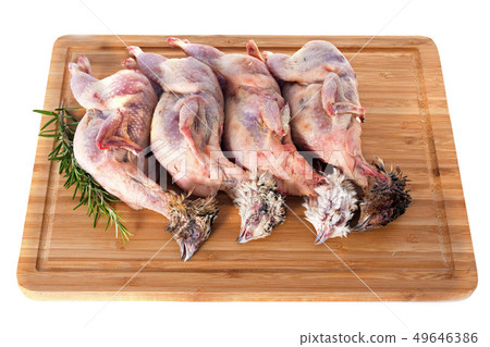four quails four quails 49646386