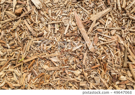 wooden and lumber sawdust 49647068