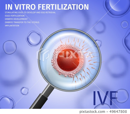 View Through Magnifier on Egg Attacked with Sperm. 49647808