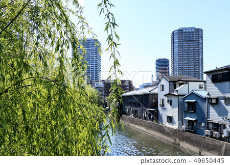 隅田川(初夏) 隅田川(初夏) 49650445