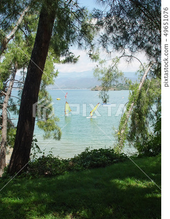 Coast is near Fethiye. Forest, sea, windsurfing Coast is near Fethiye. Forest, sea, windsurfing 49651076