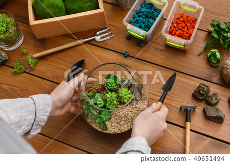 Woman showing master class on making florarium in glass jar Woman showing master class on making florarium in glass jar 49651494